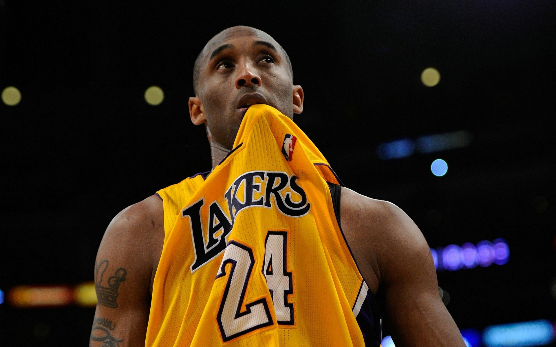 稳定性高 稳定性高